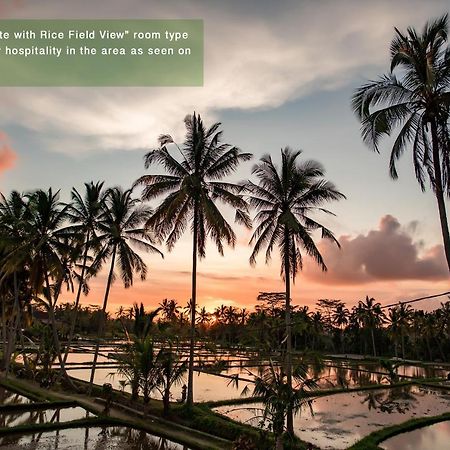 Hotel Ayu Duwur Beji Ubud Exterior foto